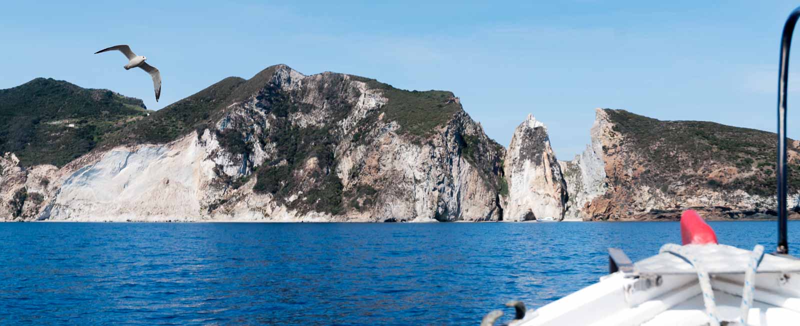 dalla punta di una barca si comincia a vedere il profilo dell'Isola di Palmarola con un gabbiano che vola intorno.