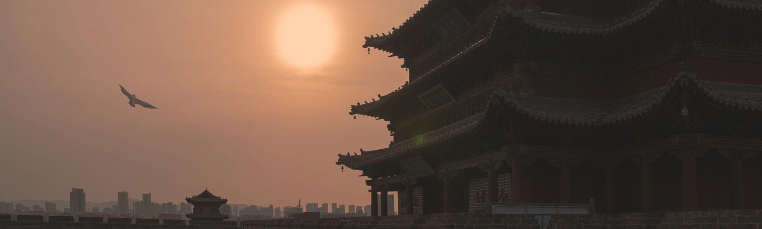 Tramonto con in controluce una pagoda e sullo sfondo la città di Datong-in cielo si staglia in volo un rapace.