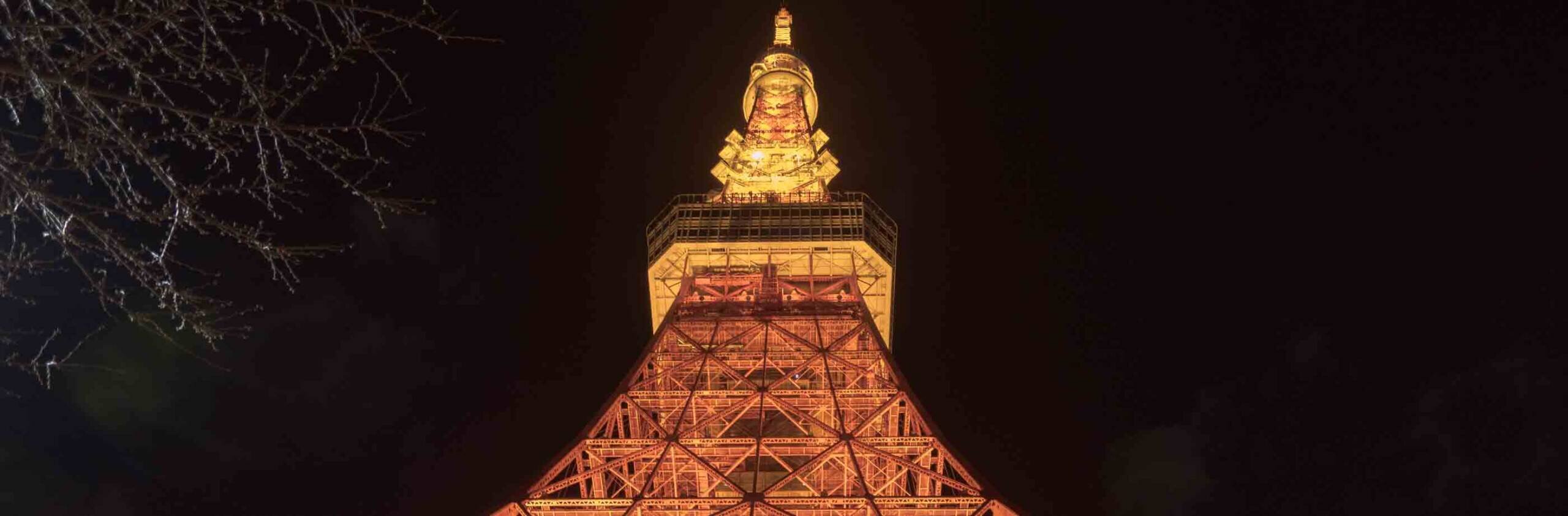 Tokyo Tower illuminata di notte simile alla torre eiffel di Parigi dall'alto si gode un bel panorama di Tokyo.