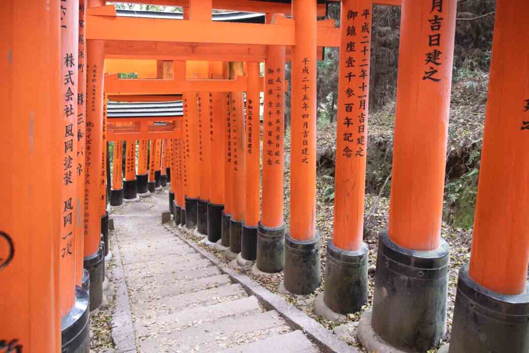 Serie di torii rossi che salgono il monte Inari venerato come un Dio.