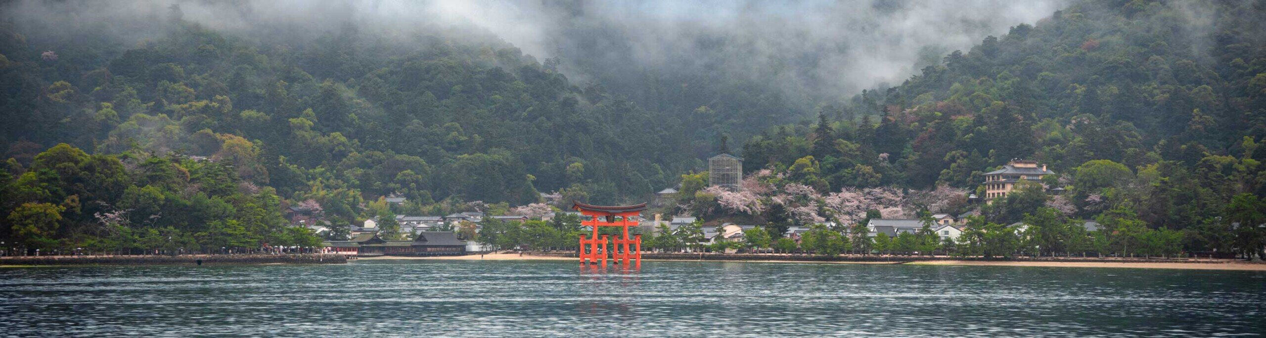 In mezzo al mare sembra emergere un torii rosso vermiglio