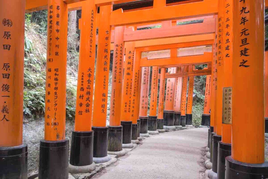 Camminata circondata da torii arancioni al Fushimi Inari-Taisha, un luogo sacro e iconico in Giappone.