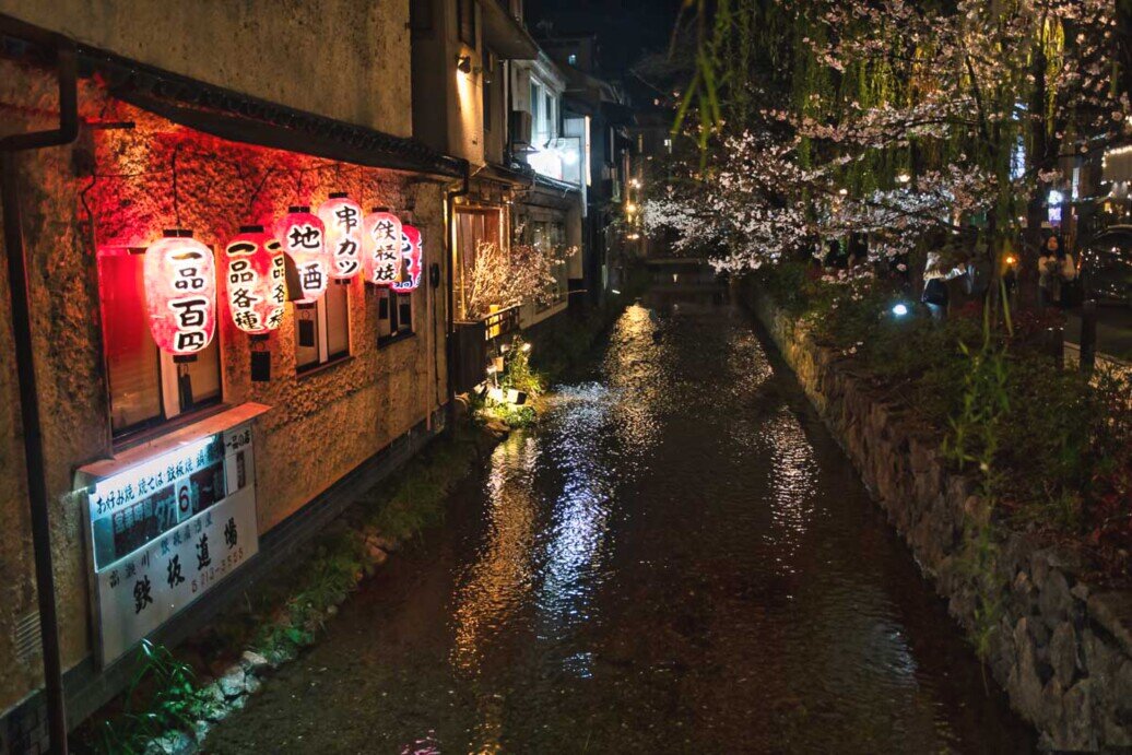 Foto notturna del quartiere Pontocho di Kyoto illuminato dalle lanterne rosse di carta e circondato da alberi di ciliegio in fioritura.