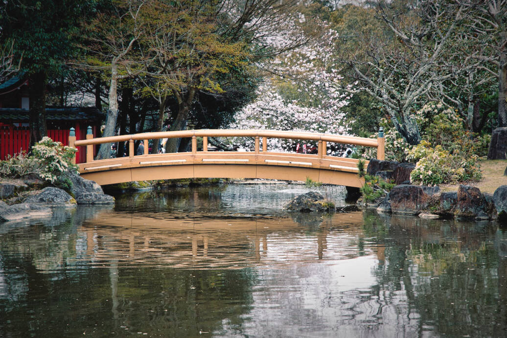 Ponte di legno in mezzo ad un laghetto nel parco di Nara.