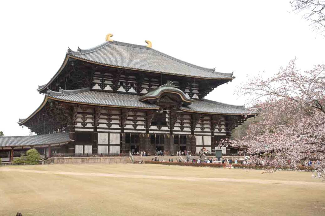 Il Tempio Todai-ji di Nara il più grande del mondo con al suo interno il buddha alto 15 metri.